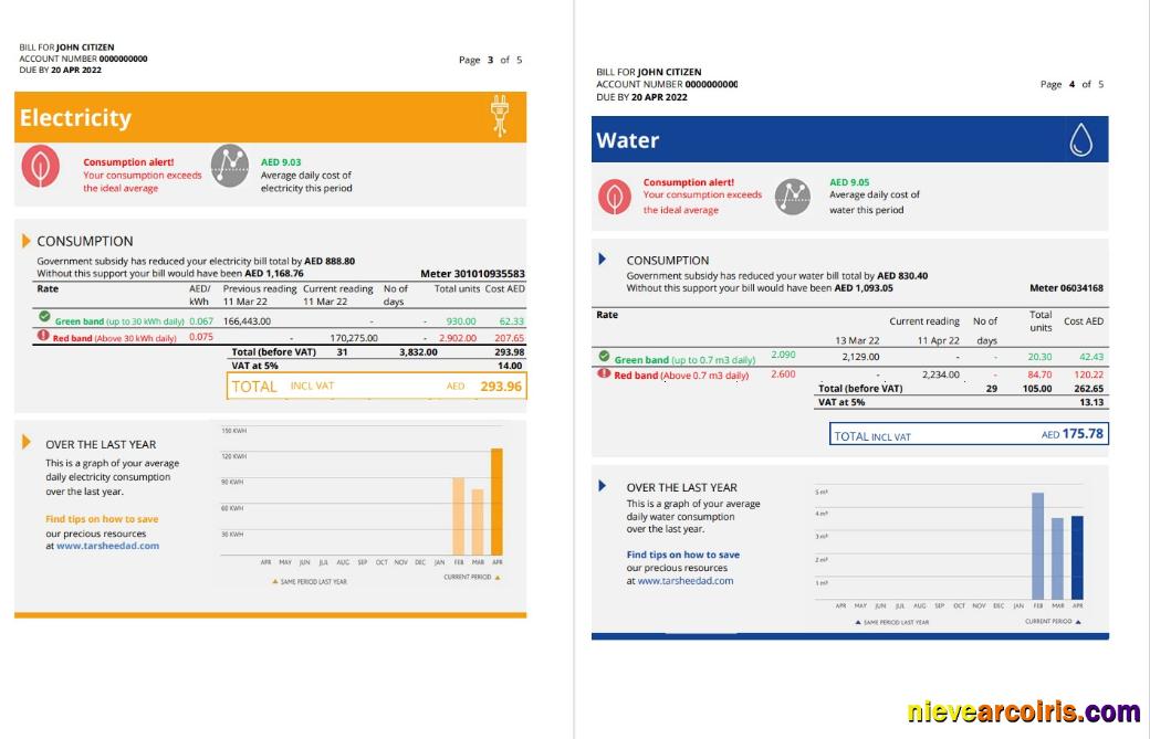 UAE Dubai Al Ain Distribution Co utility bill 5 pages 3 4